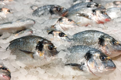 Preview: Fresh fish assorted on ice counter in supermarket