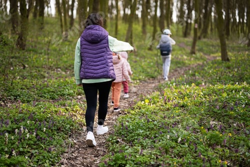 Preview: Back view of mother with three kids walking on forest trail. Outdoor spring leisure concept.