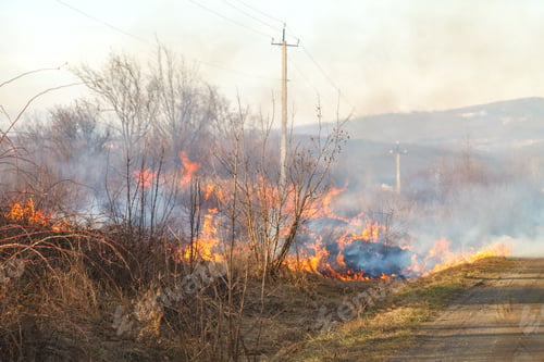 Preview: A large fire flame destroys dry grass and tree branches along the road.