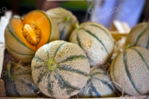 Preview: Ripe fresh melons pile in a farmers market