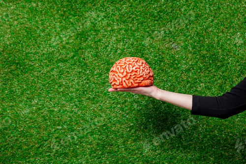 Preview: Female hand hold human brain over green grass on background