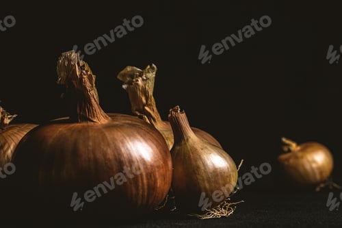 Preview: Onions on a dark background
