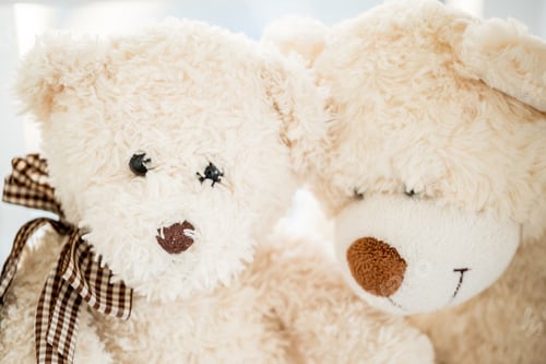 Preview: Pair of plush teddy bears