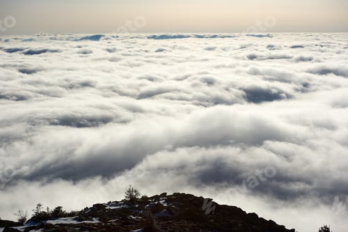 Preview: Snow-covered mountain slope with scattered rocks and trees.