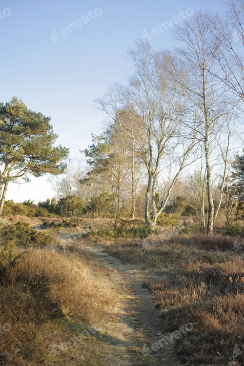 Preview: Early spring