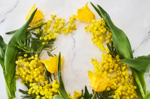 Preview: Mimosas and tulips frame on marble background