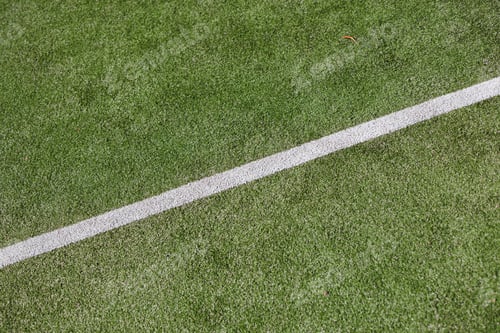 Preview: Subdued Barrier: Stadium Surface