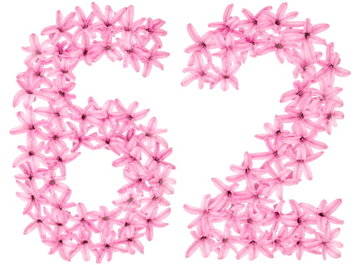 Preview: Numeral 62, sixty two, from natural flowers of hyacinth, isolated on white background