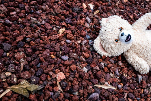 Preview: White teddy bear dirty and abandoned on the floor.