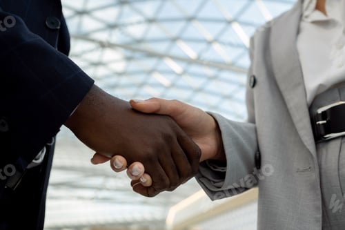 Preview: Hands of multiracial partners during handshake