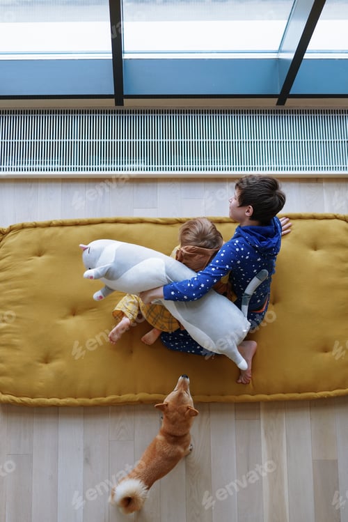 Preview: Family fan. Top view of Happy brothers and domestic Shiba inu dog fighting with pillows