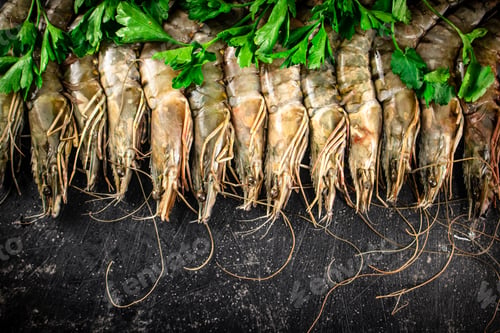 Preview: Fresh raw shrimp with parsley.