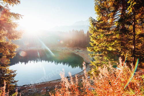 Preview: Sunshine in the forest near mountains with lake. Gorgeous landscape