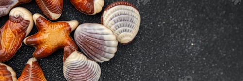 Preview: candy seashells delicious chocolate sweet dessert delicious healthy eating cooking appetizer meal