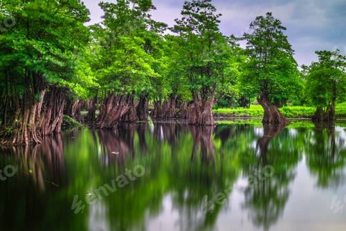 Preview: Beautiful morning view indonesia Panorama Landscape paddy fields with beauty color and sky natural l