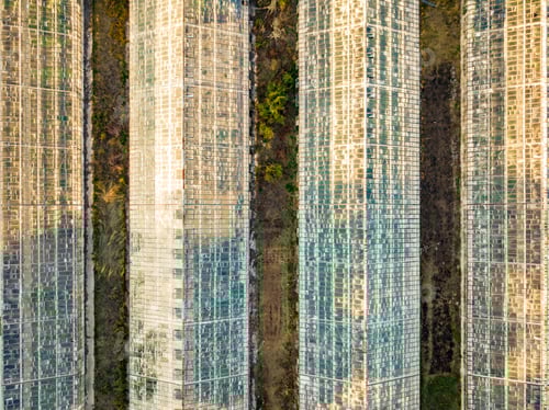 Preview: top overhead view of organic greenhouse farm texture background f