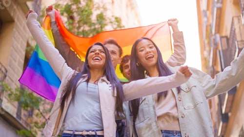 Preview: Diverse friends holding rainbow flag celebrating LGBT pride