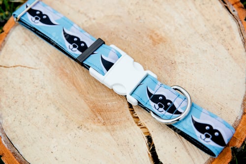 Preview: Dog Collar and Leash set. Pet Supplies and Walking Gear Collection