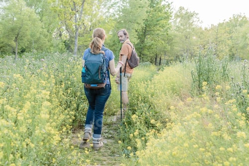 Preview: Senior couple hiking in wildflower field in madrid