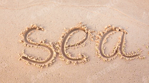 Preview: word "sea" written on beach sand