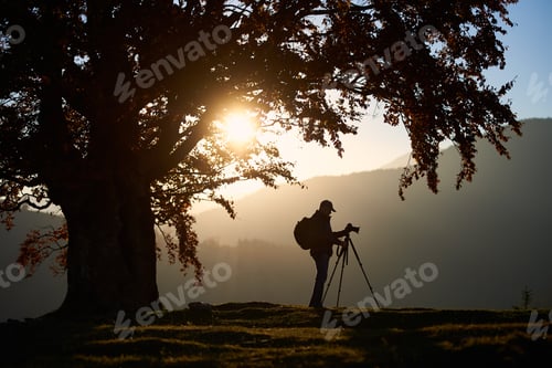 Preview: Hiker tourist man with camera on grassy valley on background of mountain landscape under big tree.