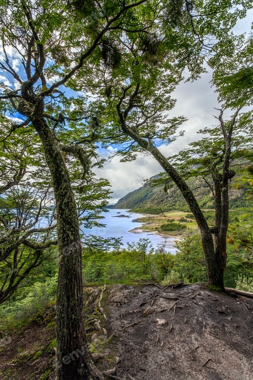 Preview: Tierra del Fuego - Argentina