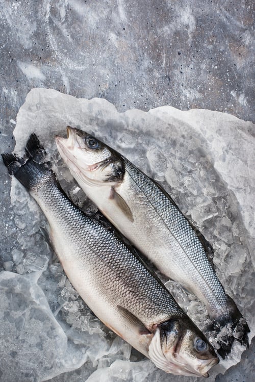 Preview: Raw fresh sea bream fish