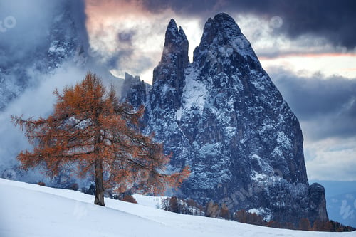 Preview: Beautiful Winter at Alpe di Siusi, Seiser Alm - Italy