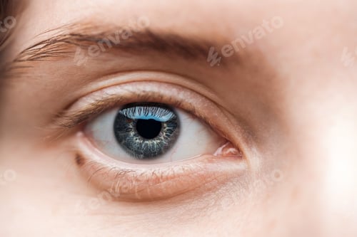 Preview: close up view of young woman blue eye with eyelashes and eyebrow