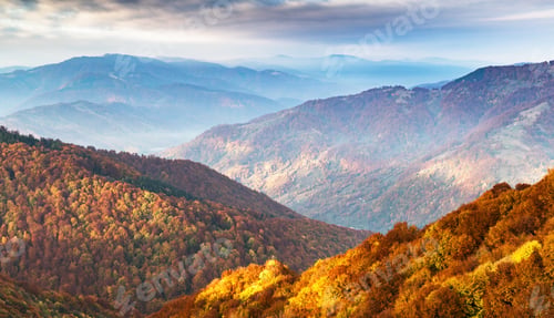 Preview: Picturesque autumn mountains ranges with red beech forest