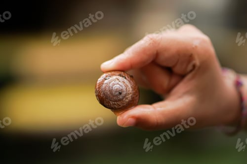 Preview: close up photo of a hand with a small cute snail