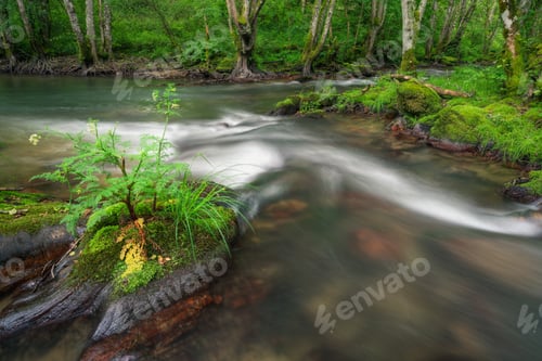 Preview: Water flows harmoniously at the junction of two rivers