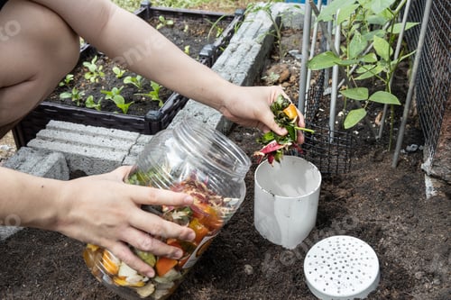 Preview: Person filling the worm tower with kitchen organic waste. Worm activity turns material into compost
