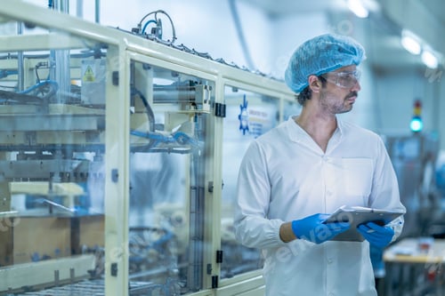 Preview: Industrial food production line with a worker ensuring process accurac