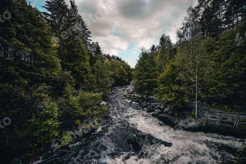 Preview: Scenic view of a person standing on rocks in the middle of a river surrounded by greenery