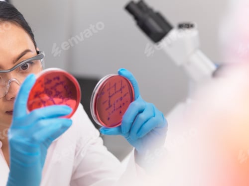 Preview: Scientist examining microbiological cultures in a petri dish
