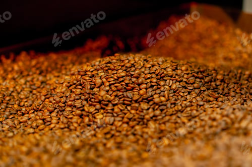 Preview: Close up of freshly roasted coffee in roasting factory in a coffee roasting machine