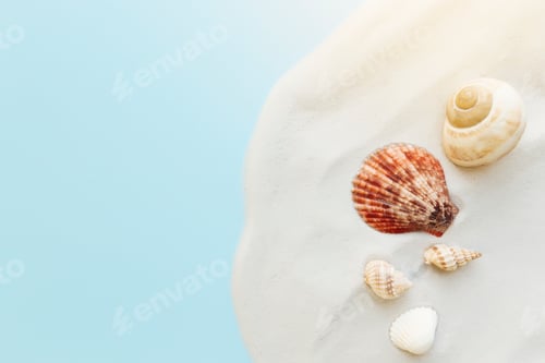 Preview: Travel, vacation concept. Sea shells on sand and blue background. Travelling