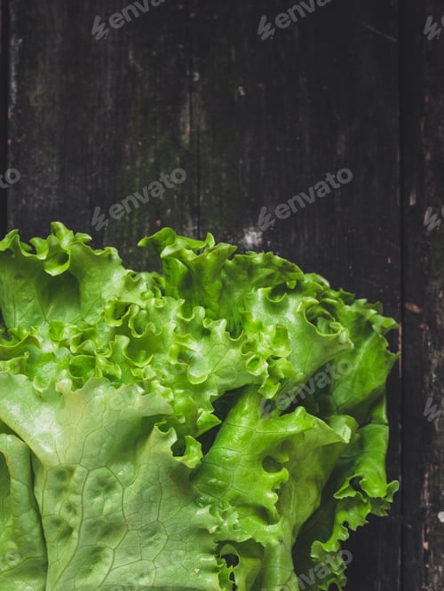 Preview: Salad Leaf. Lettuce Salad