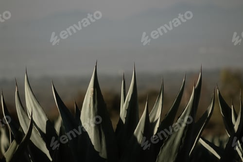 Preview: Foto 19-01-20 8 19 14