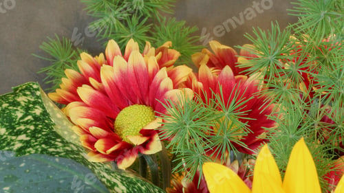 Preview: Flower Arrangement With Red And Yellow Flowers - Close Up Photograph Of A Flower Arrangement With