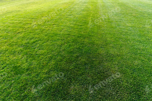 Preview: Green grass background