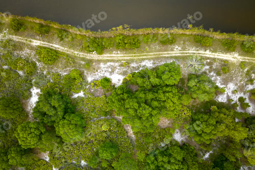 Preview: Dark lush tropical woodland with green trees canopies in summer. Top down flat view from above