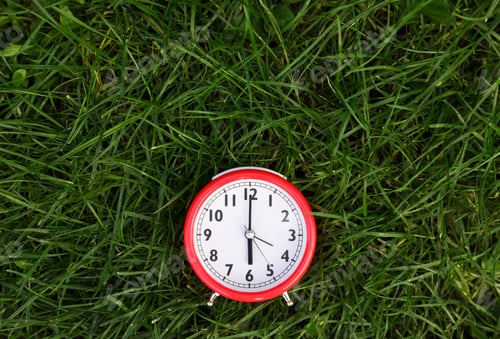 Preview: Red alarm clock on green grass outdoors, top view. Space for text