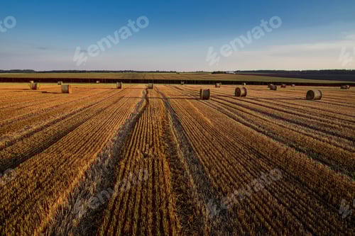 Preview: cut stubble lines and straw rolls, top view