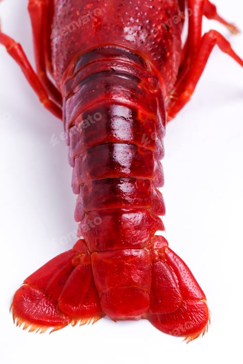 Preview: Delicious crayfish