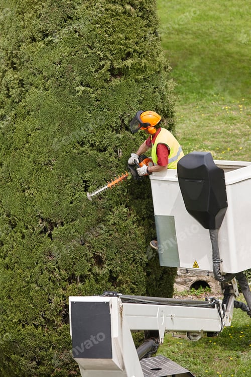 Preview: Equipped worker pruning a tree on a crane. Gardening