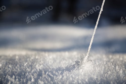 Preview: Frozen Thread With Ice Flowers
