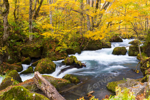 Preview: Oirase Mountain Stream
