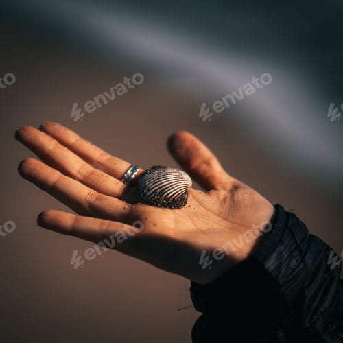 Preview: Moody image of a person holding a shell against a backdrop of a sandy beach at sunset
